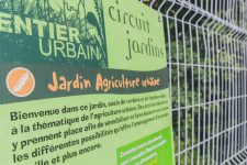 Jardin d'agriculture urbaine
